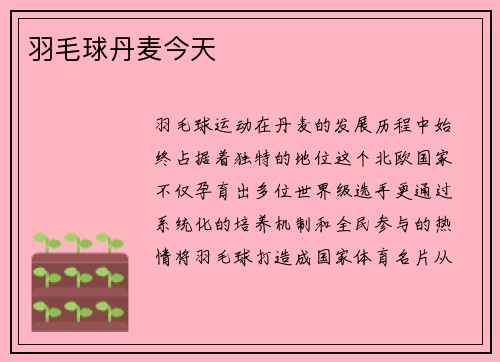 羽毛球丹麦今天