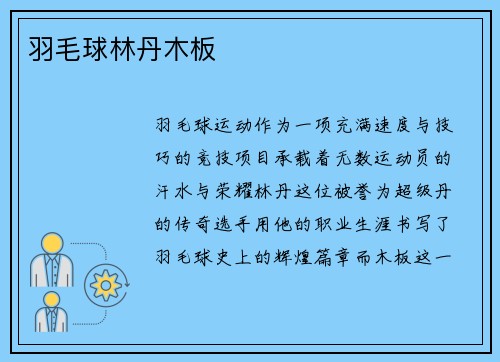 羽毛球林丹木板